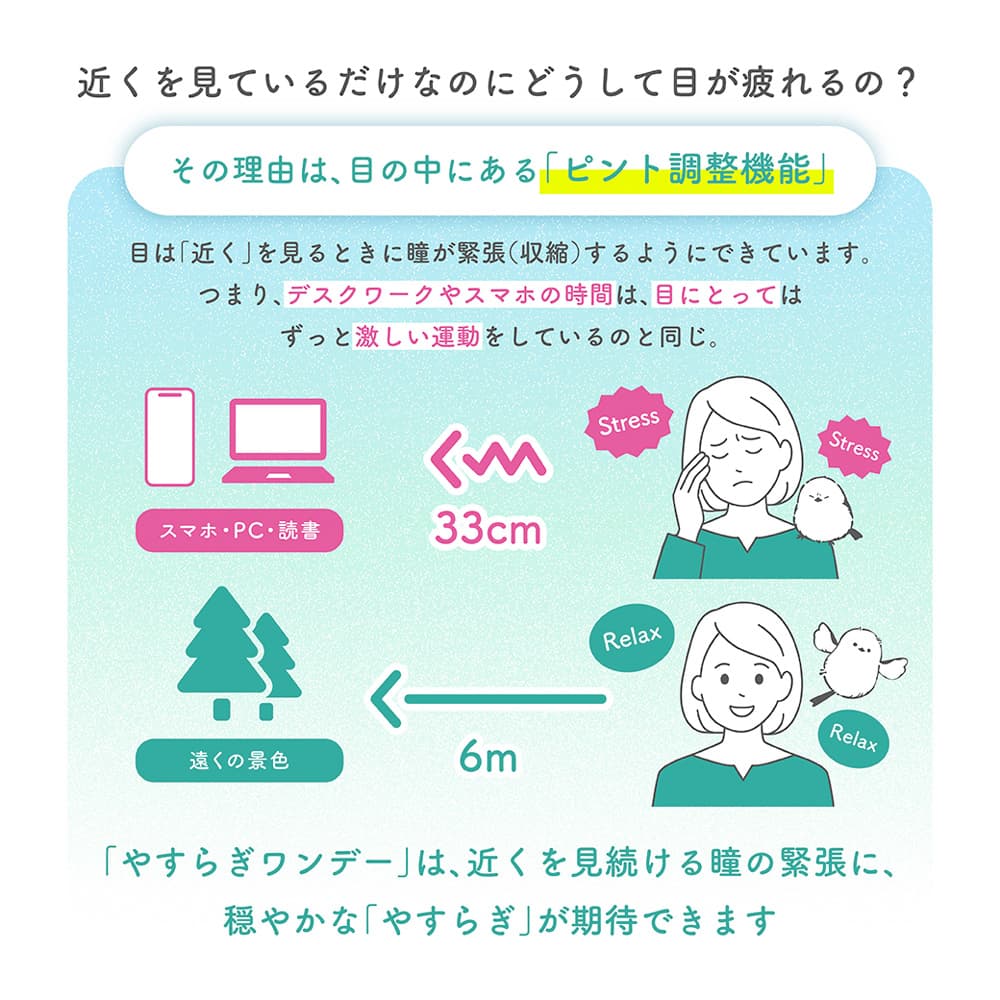  ピントアシスト付き1day　やすらぎワンデー