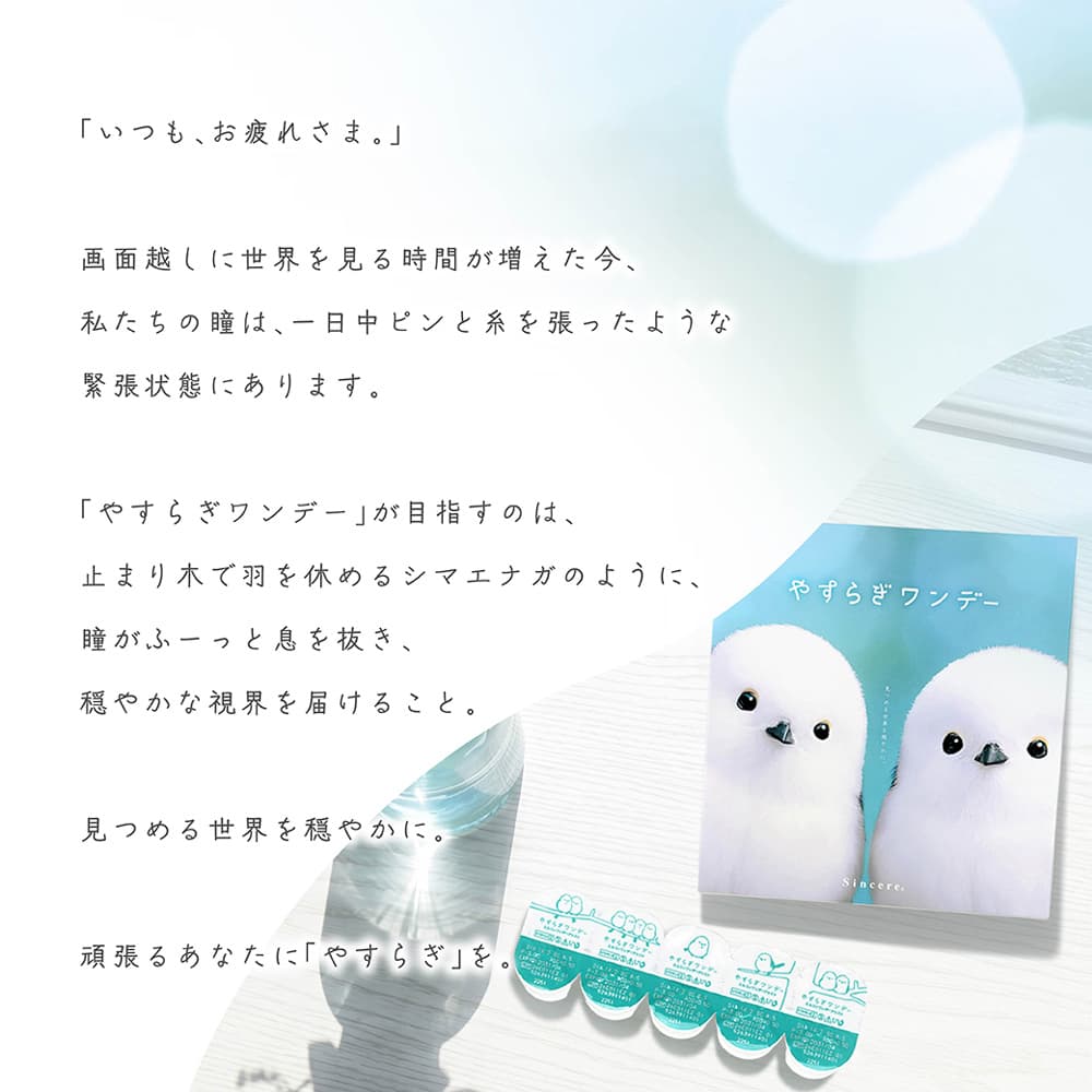  ピントアシスト付き1day　やすらぎワンデー