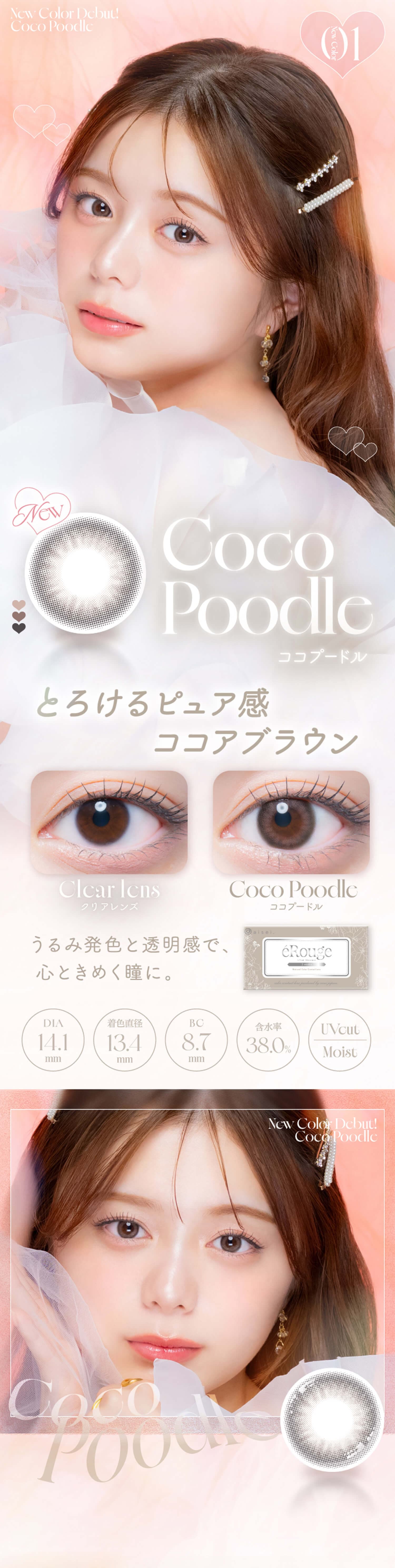エルージュ(eRouge)ココプードル紹介