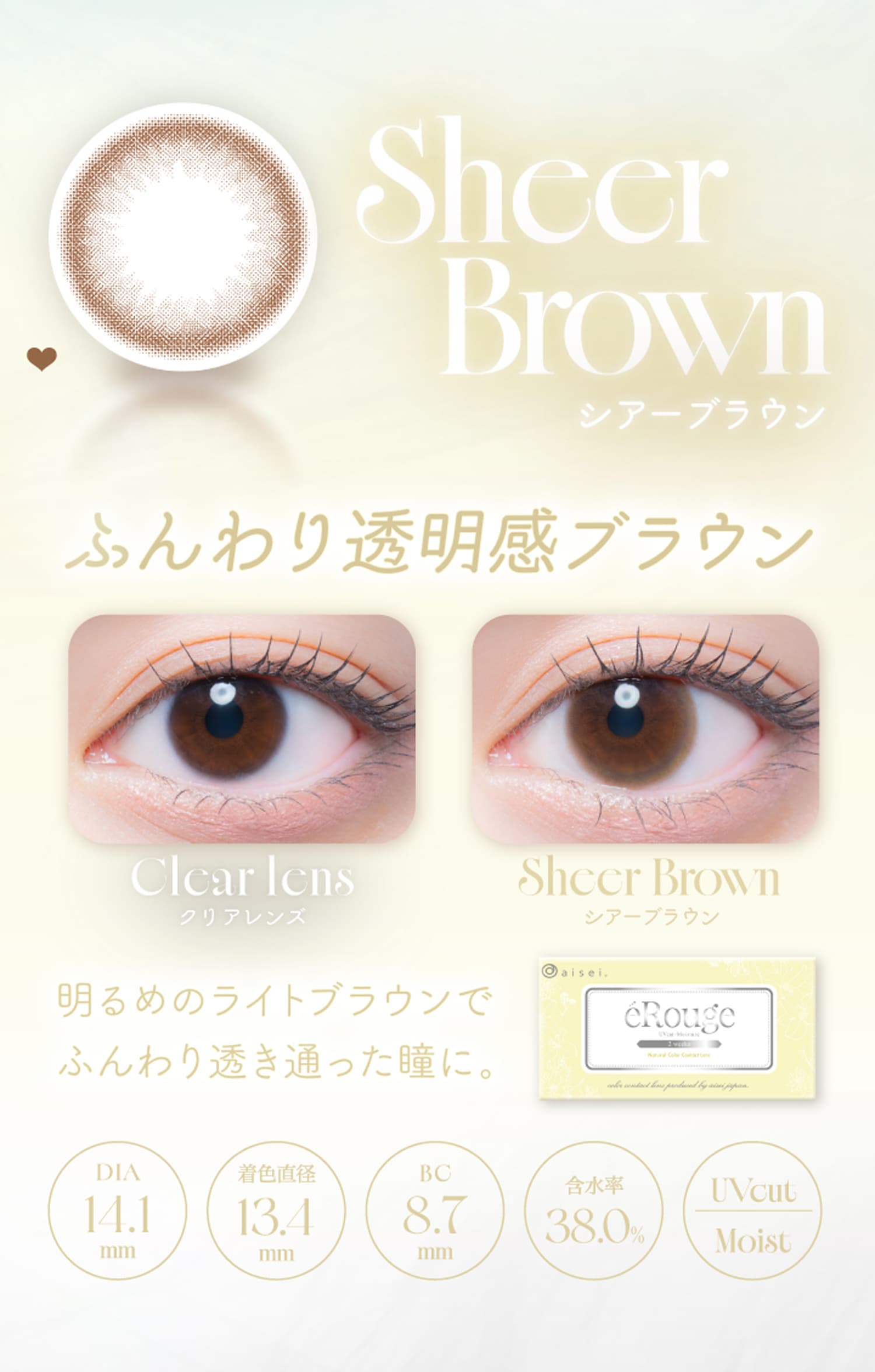 エルージュ(eRouge)シアーブラウン紹介