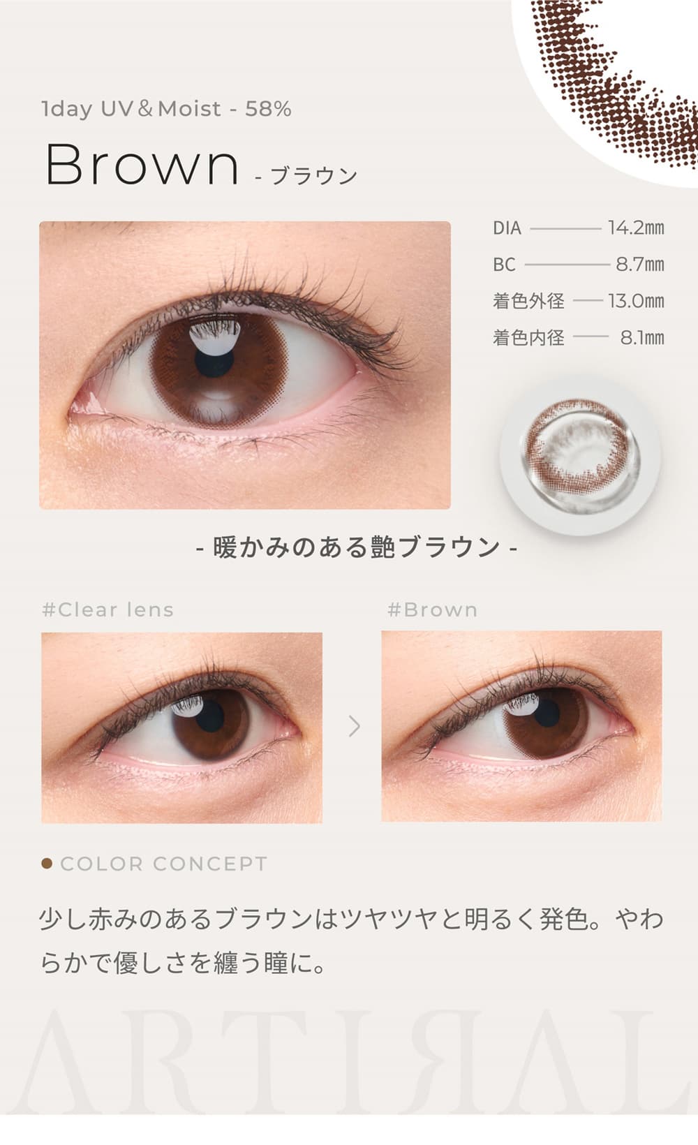 アーティラルUV＆モイスト58 ワンデーのブラウン