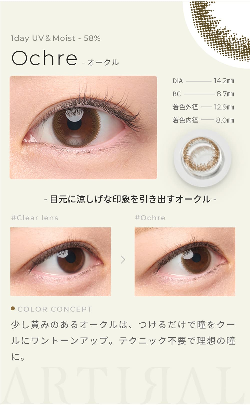 アーティラルUV＆モイスト58 ワンデーのオークル