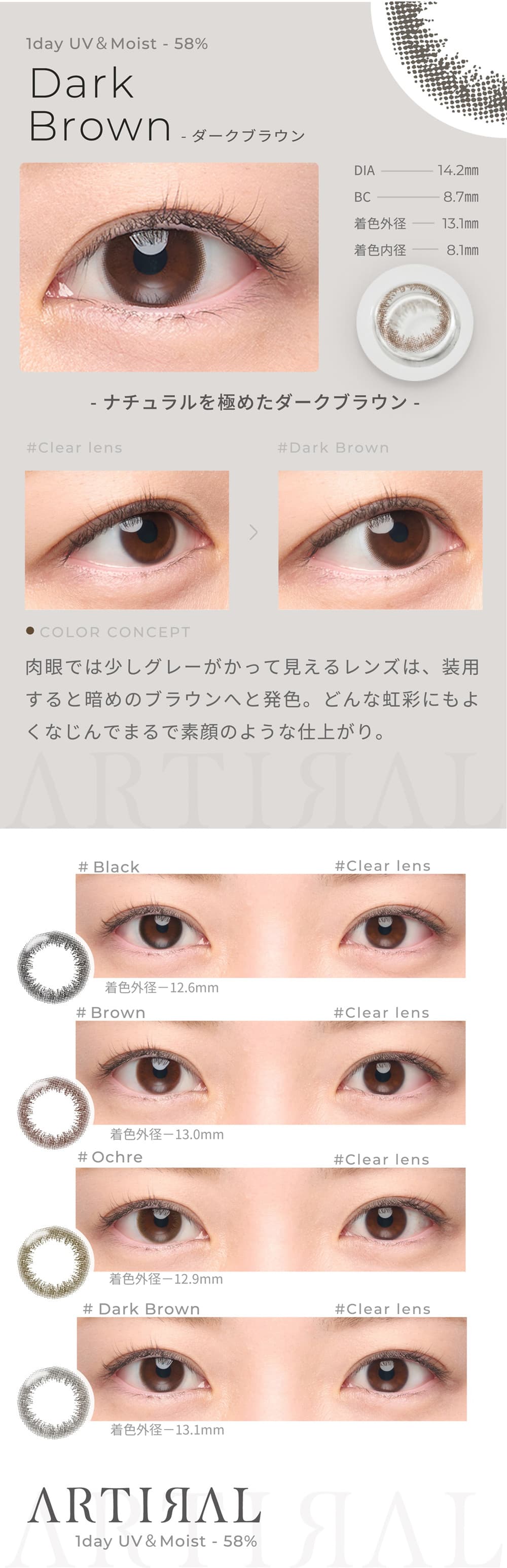 アーティラルUV＆モイスト58 ワンデーのダークブラウン
