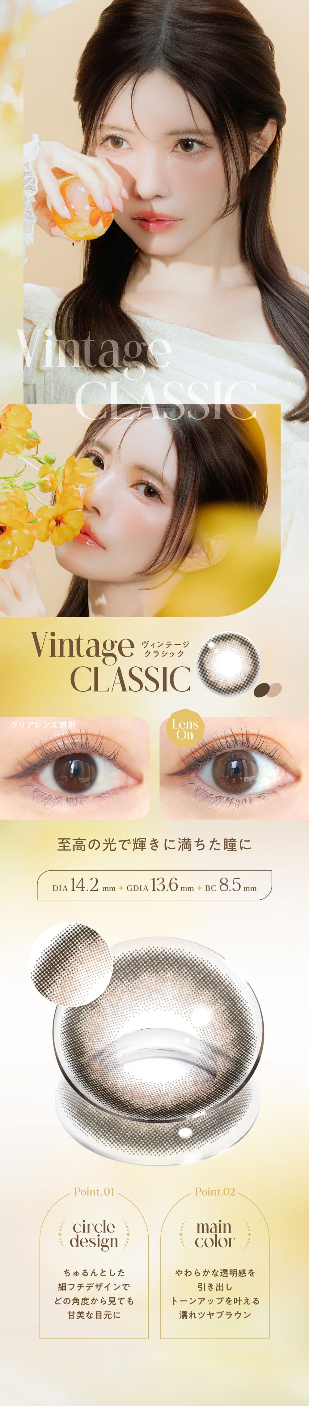 エンジェルカラーバンビ ヴィンテージワンデー[10枚入 2箱