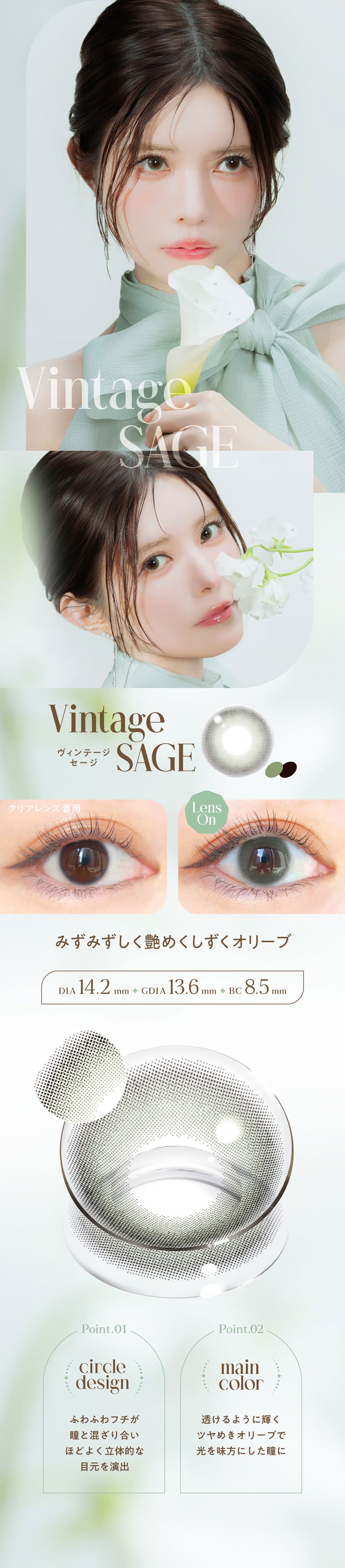 エンジェルカラーバンビヴィンテージ新色セージ画像