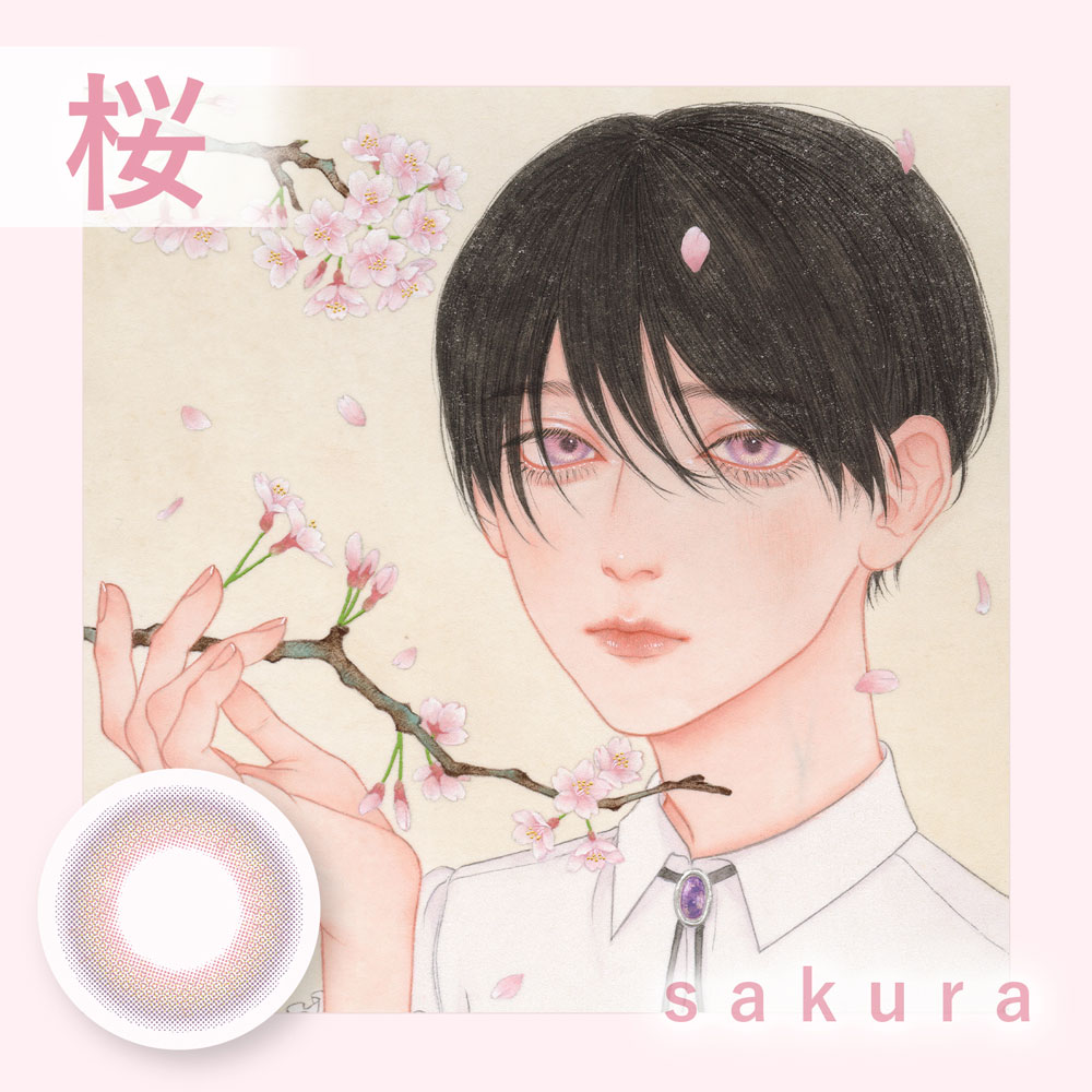 美少年画(ビショウネンガ)Bishonenga hanairoサクラのイメージイラスト