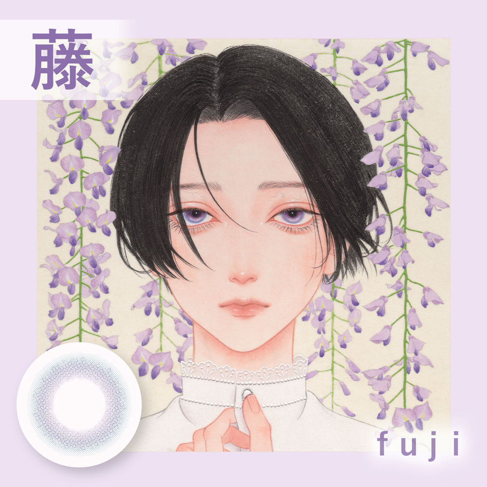 美少年画(ビショウネンガ)Bishonenga hanairoフジ（藤）のイメージイラスト