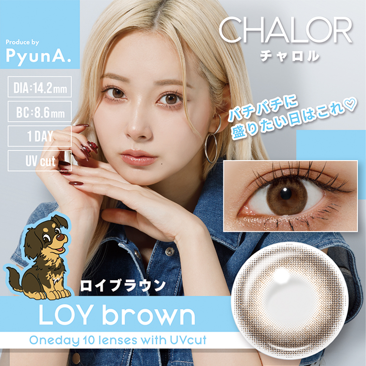 チャロル(CHALOR)[10枚入 1箱] ぴょな(PyunA.)プロデュースカラコンのロイブラウンモデル装用画像