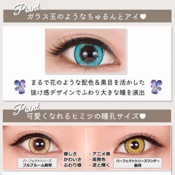 フルブルームレンズデザイン
