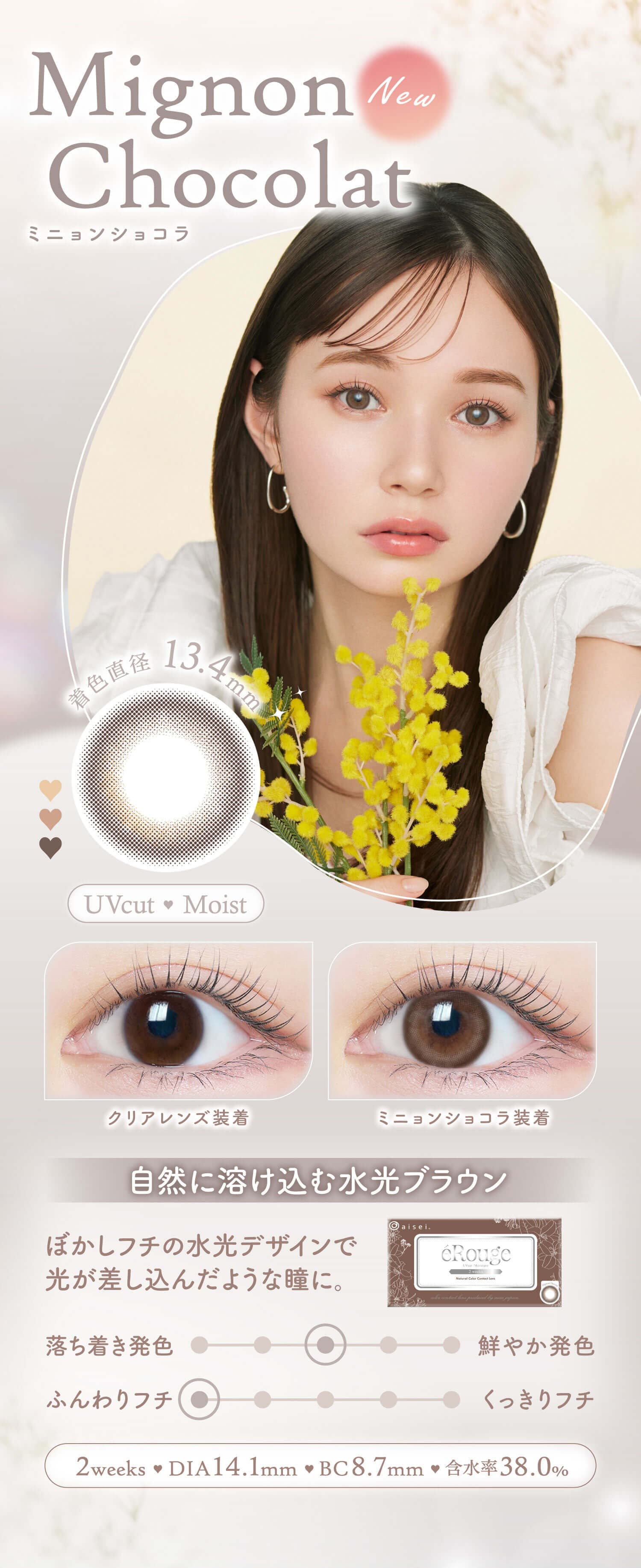 エルージュのミニョンショコラ紹介