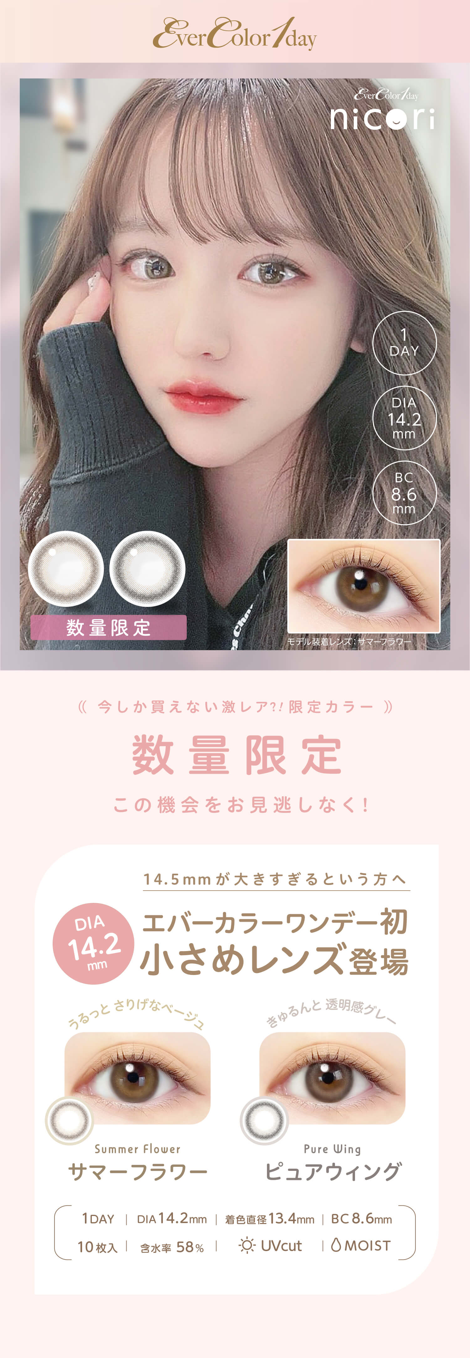 エバーカラーワンデーニコリ Evercolor1day Nicori カラコン通販 コンタクトライフ