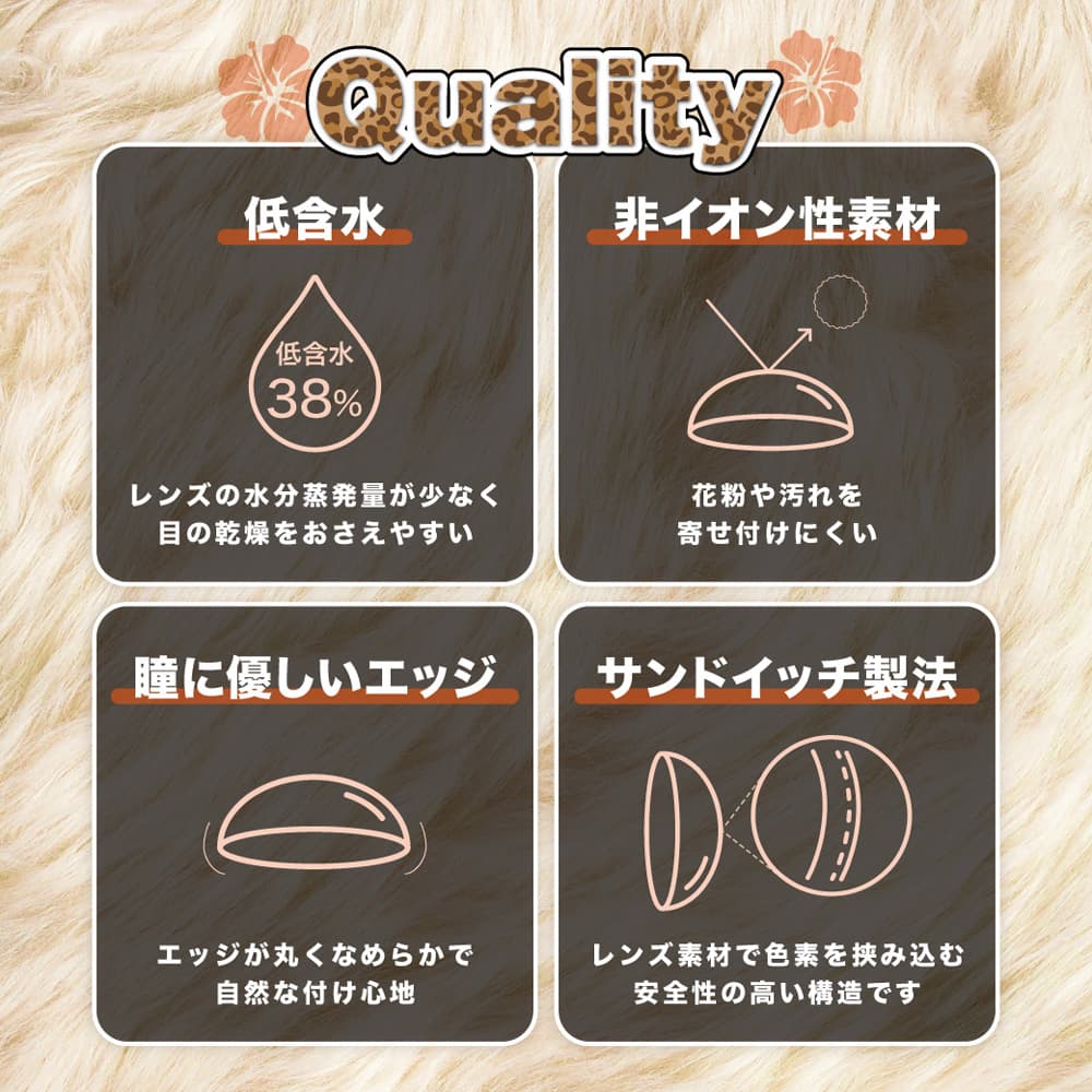 MoMonster（モモンスター）のスペック紹介
