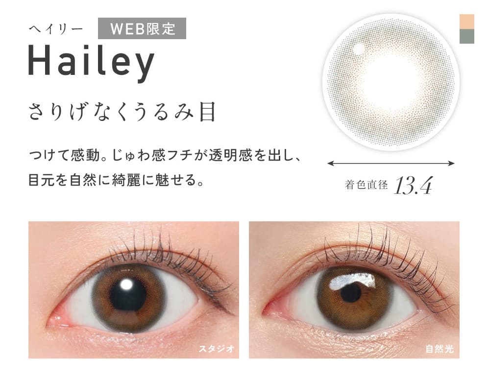 レヴィアワンデーヘイリーの紹介