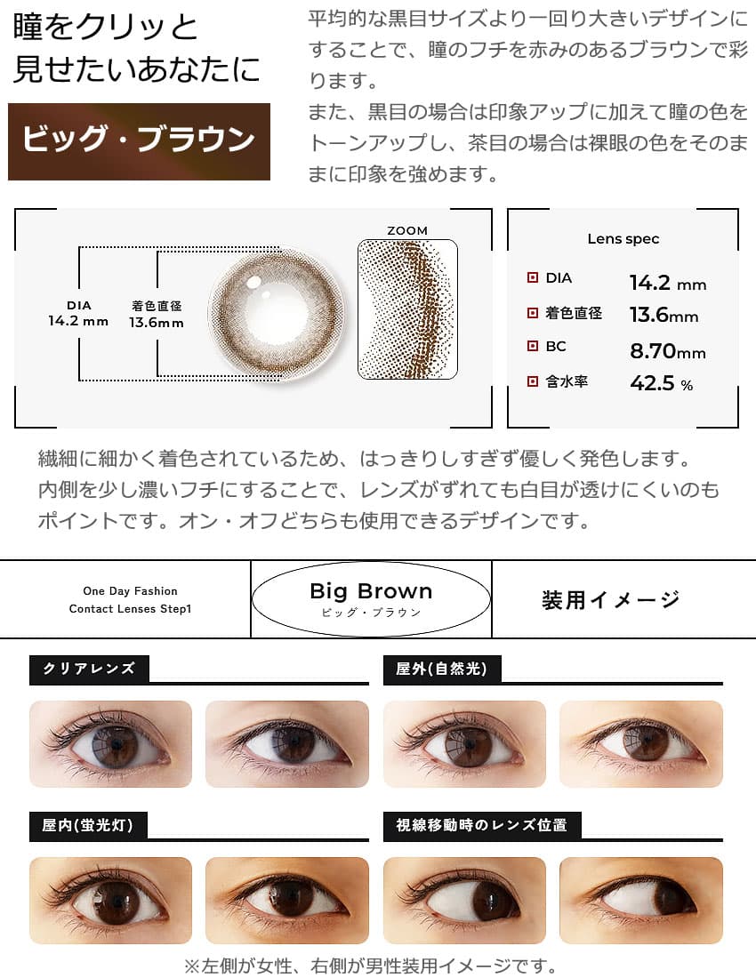 ステップワン(Step1)ワンデーのビッグ・ブラウン