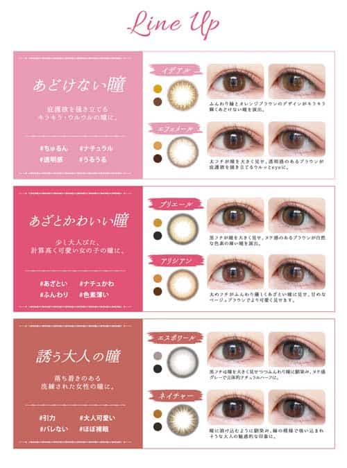 ヴィオレットブランシュカラバリ