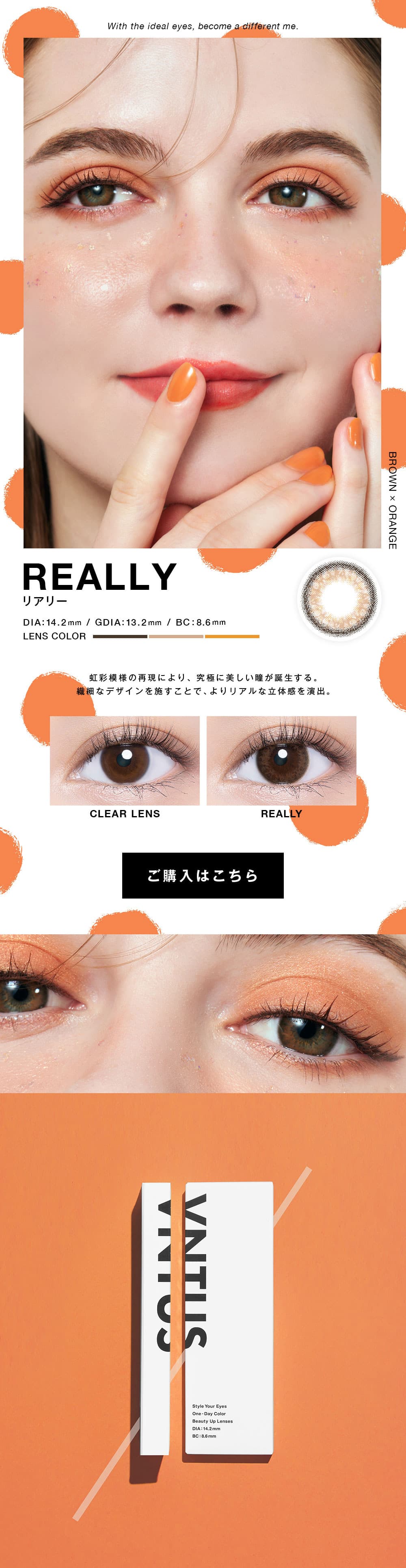 ヴァニタスコウキ画像