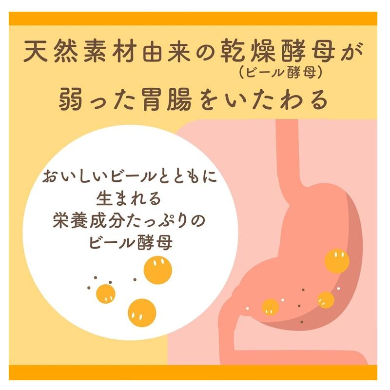 天然素材のビール酵母から生まれた「エビオス錠」は弱った胃腸をいたわります。
